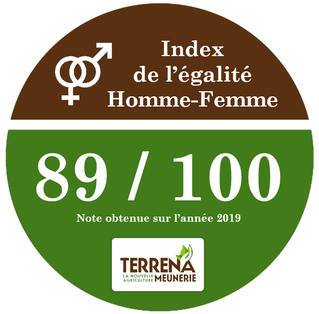 Index Egalité Homme-femme Terrena Meunerie 2019